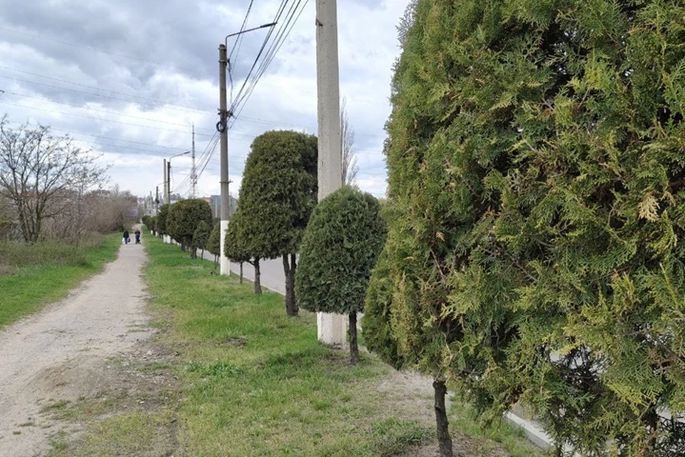 В Запорожской области 26 мая небо будет закрыто плотными облаками.