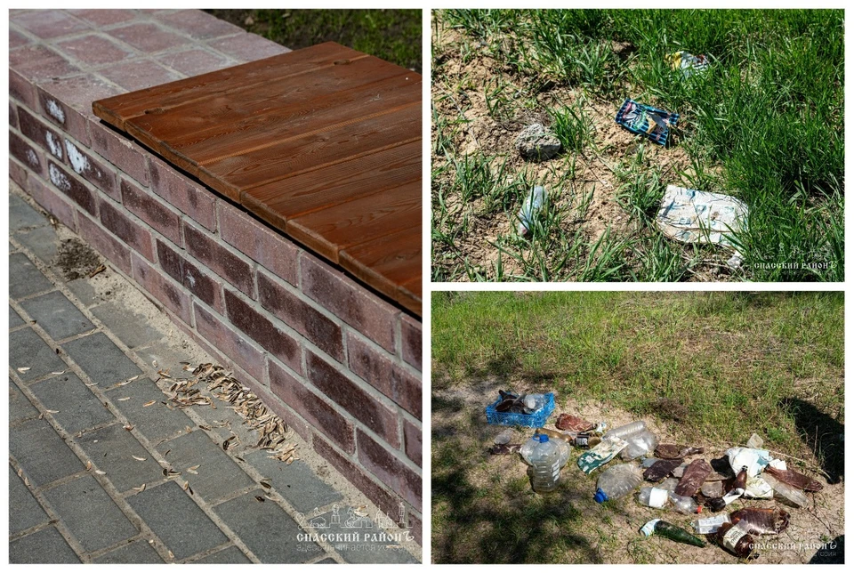 Пользователей городского пространства попросили не мусорить. Фото: https://vk.com/solomonovanv.