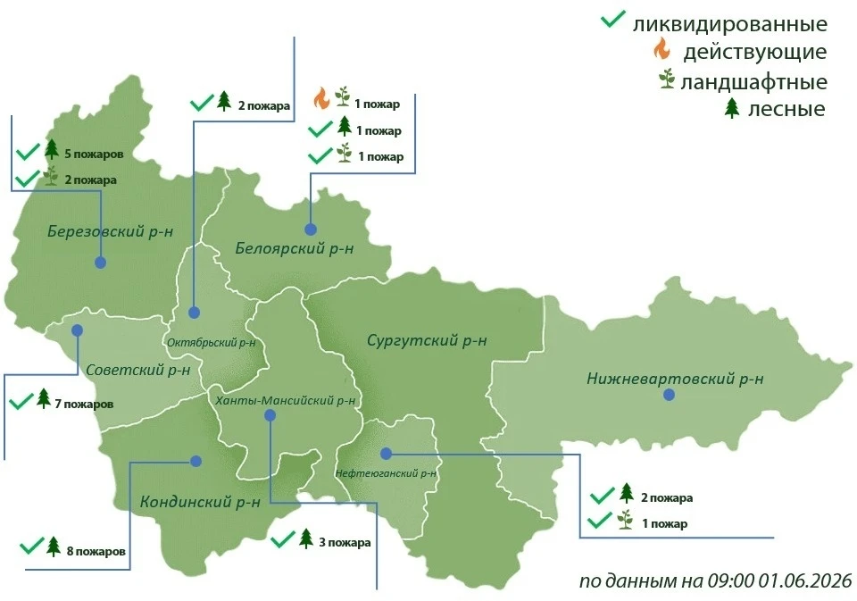 Инфографика: депнедра и природных ресурсов Югры
