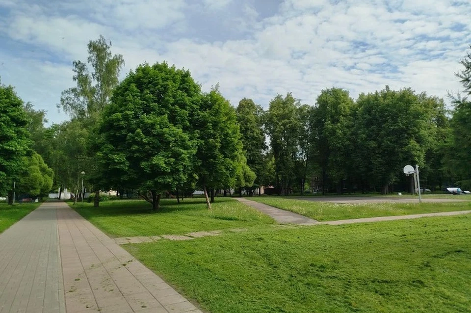 В Ярославле потеплеет до +25 градусов.