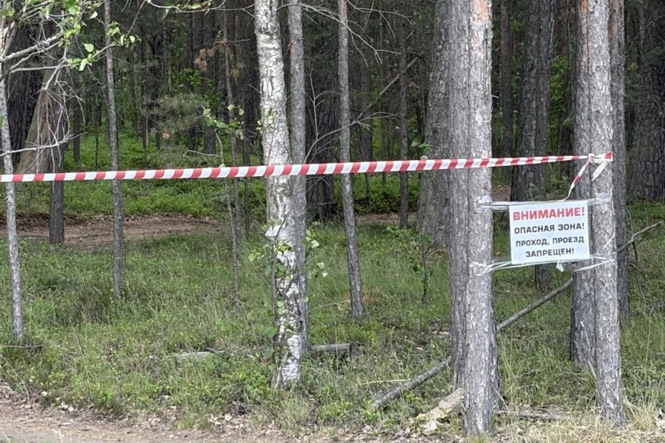 Ограничения ввели с 6 июня и будут действовать до особого распоряжения. Фото: пресс-служба правительства ЛО