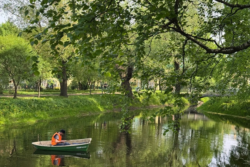 Экослужбы продолжают помогать делать Петербург чище. Фото: gov.spb.ru