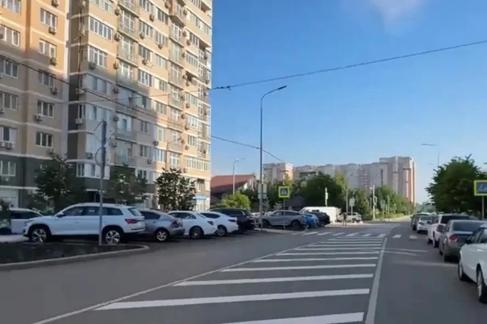 Фото: скриншот видео max.ru/emnaumov
