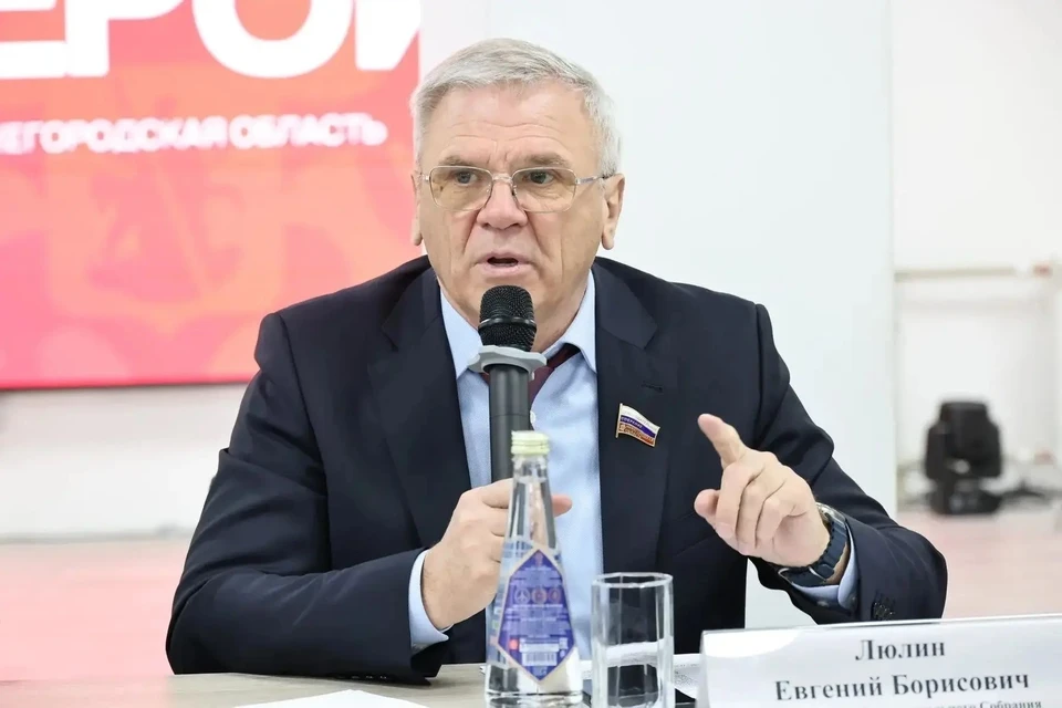 Евгений Люлин назвал принятие Госдумой закона о запрете вейпов важной победой. Фото: пресс-служба Законодательного Собрания Нижегородской области