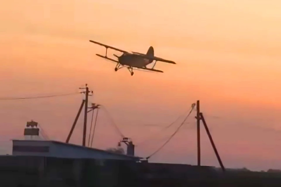 Фото: скриншот видео очевидцев