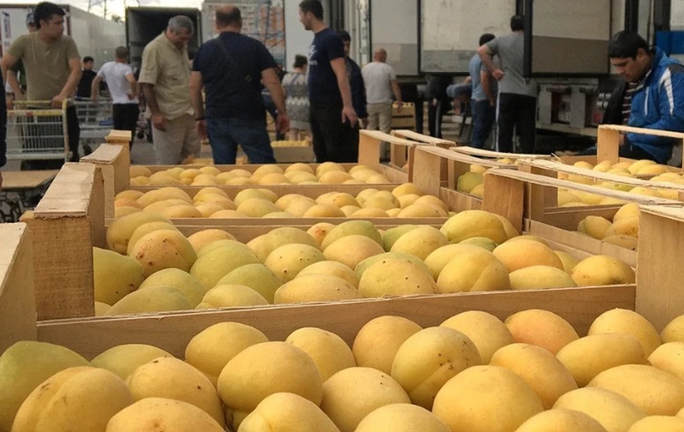 Россельхознадзор с 12 июня ограничивает ввоз всей подкарантинной продукции из Армении