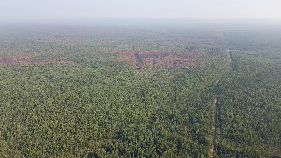 В Красноярском крае год ищут рыбака, пропавшего в районе исчезновения Усольцевых