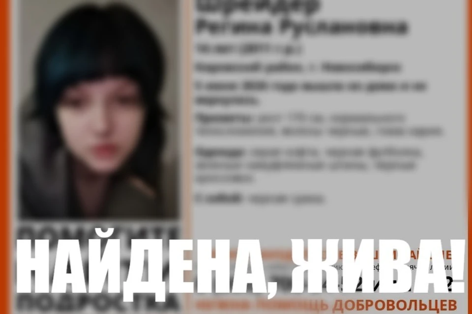 Девочку нашли. Фото: поисковой отряд "Лиза Алерт" Новосибирской области