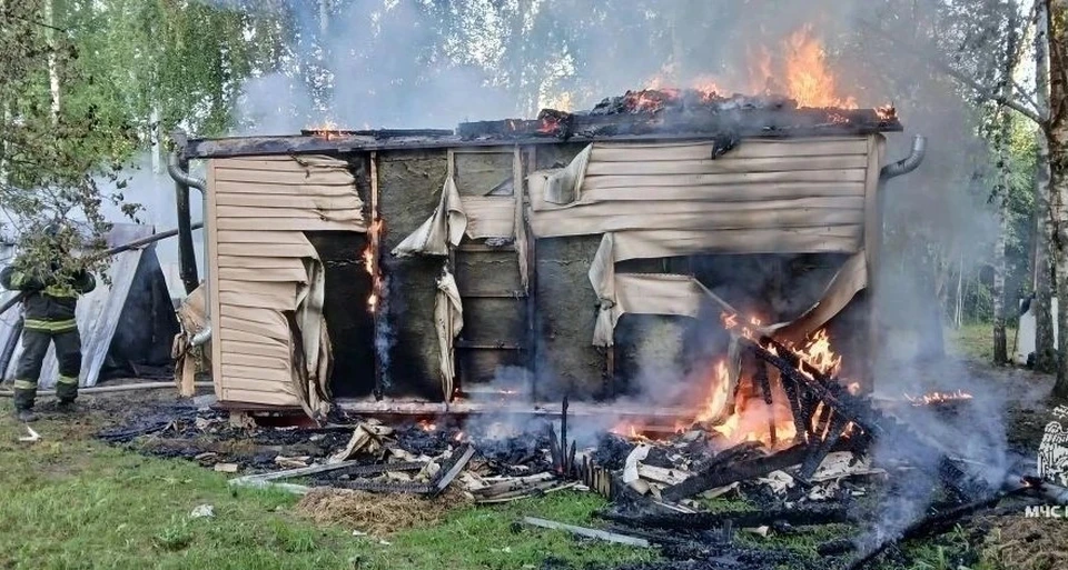 В Туле при пожаре в квартире на Гарнизонном проезде пострадала 74-летняя женщина