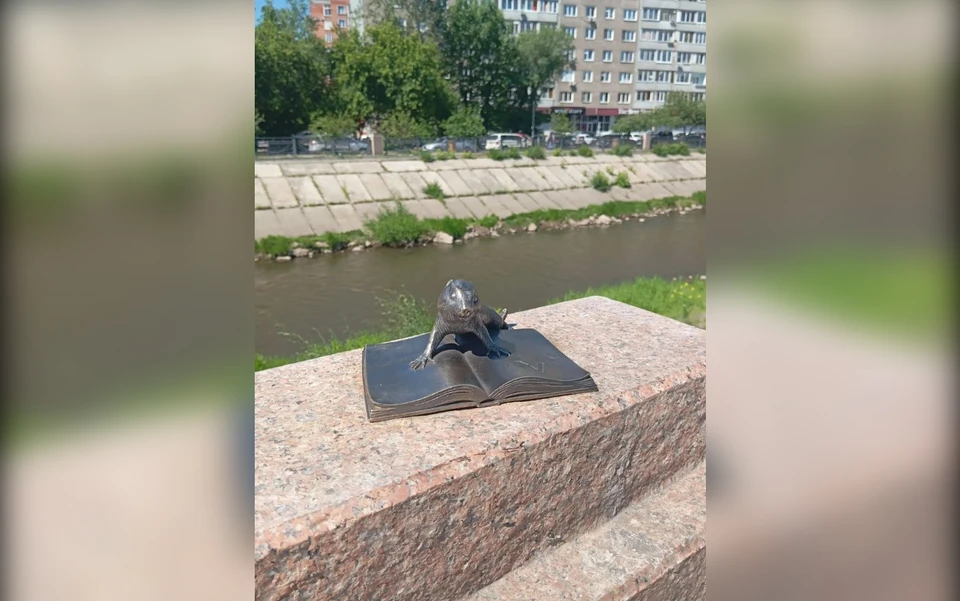 Фото: МАУ «Красгорпарк»