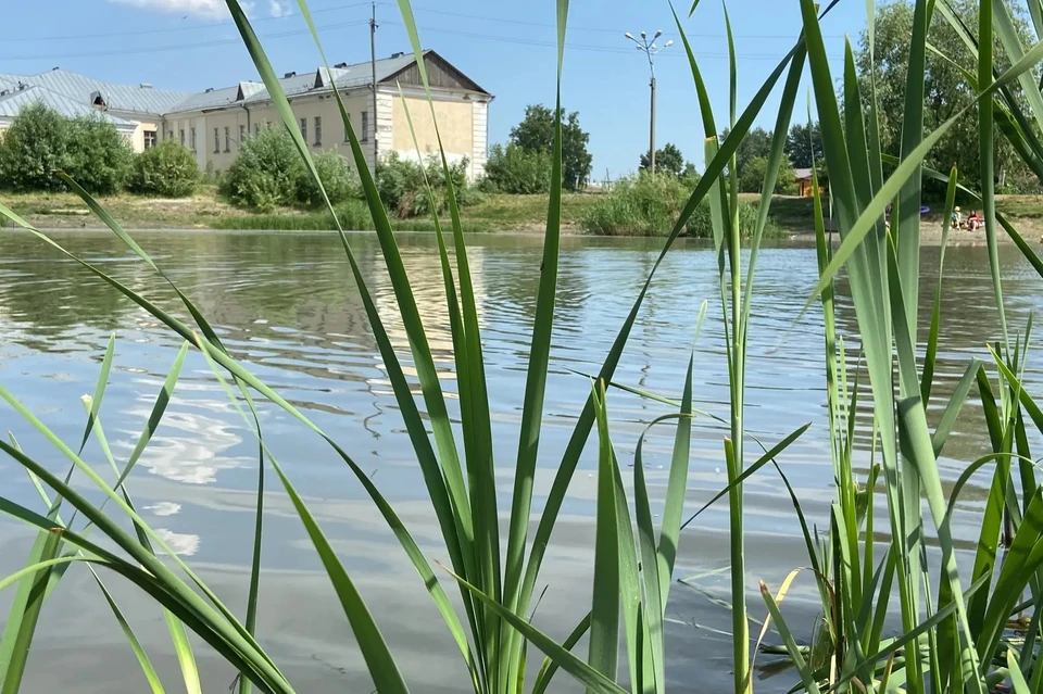 Пляж не был оборудован для купания. Фото: ССМП Бийска