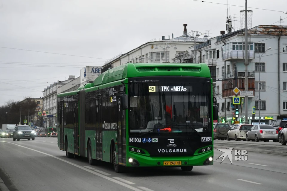 Порядка 15 единиц нового транспорта будут составлять автобусы-«гармошки»