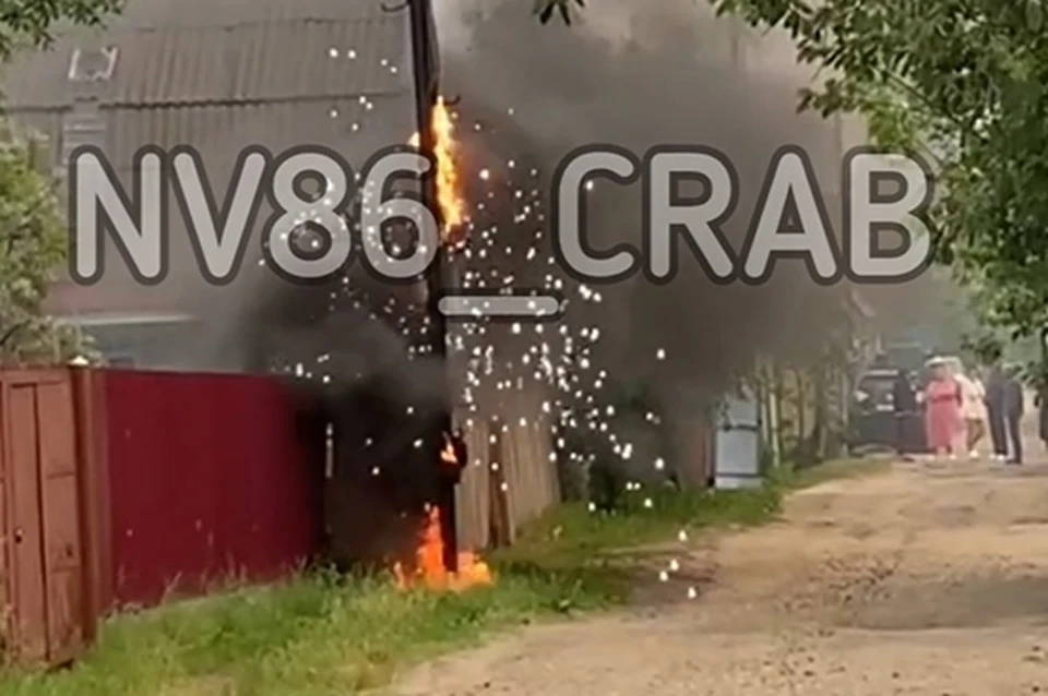 Скрин с видео Типичный краб Нижневартовска
