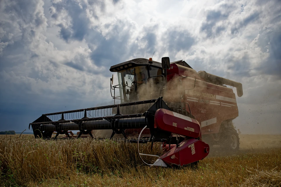 Стоимость сельхозпродукции на Дону составила 391,4 млрд рублей.