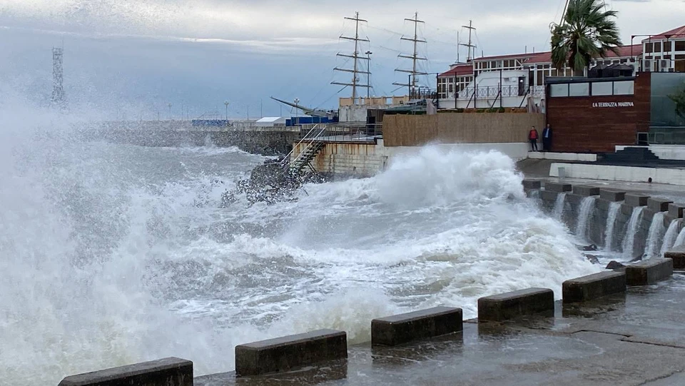 Раздражение на пляжах Азовского моря: причина в бактериях, а не в блохах