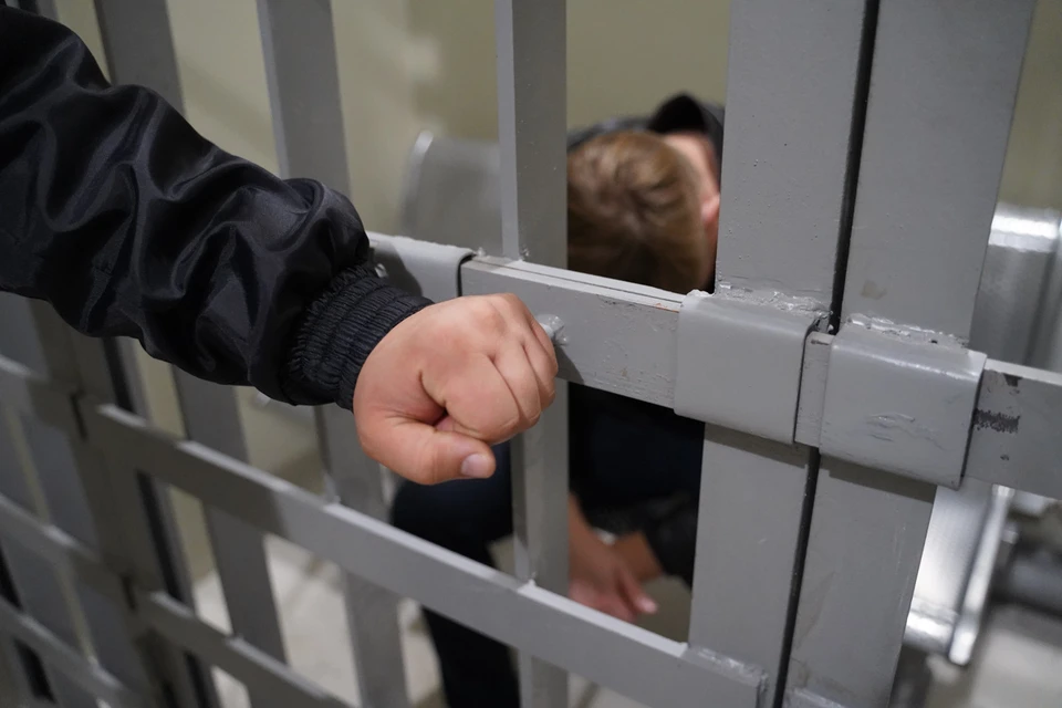 Ульяновца осудили на 9,5 лет за убийство двоюродного брата