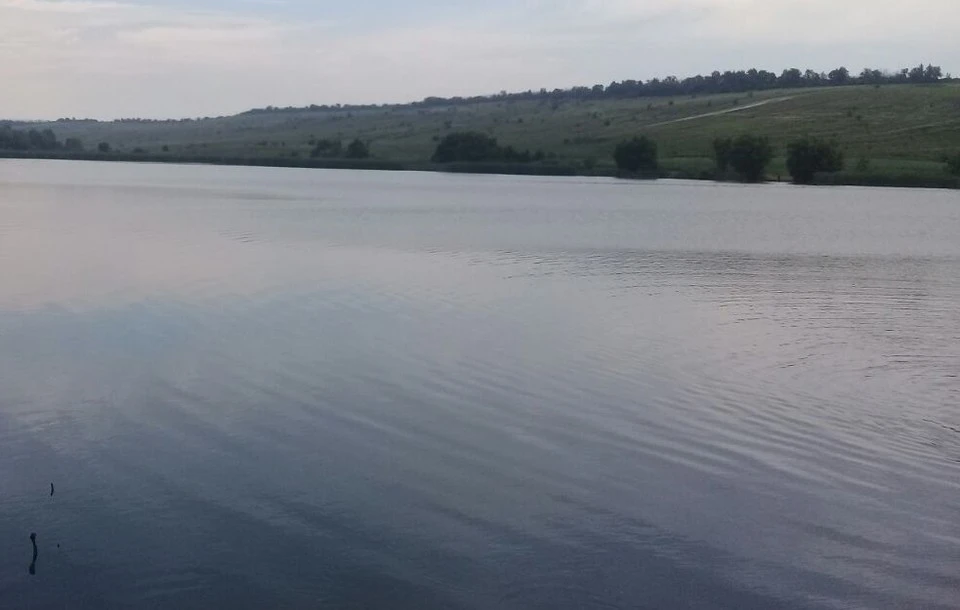 Чтобы защитить водоемы от браконьеров, прокуратура Воронежской области подала четыре иска на рыбаков, которые систематически использовали запрещенные орудия лова.