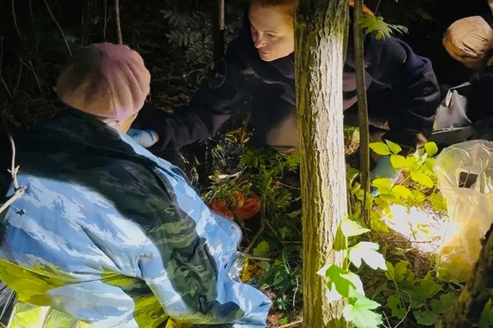 Найти человека в лесу ночью просто невероятно. Фото: ВПСО "Сова"
