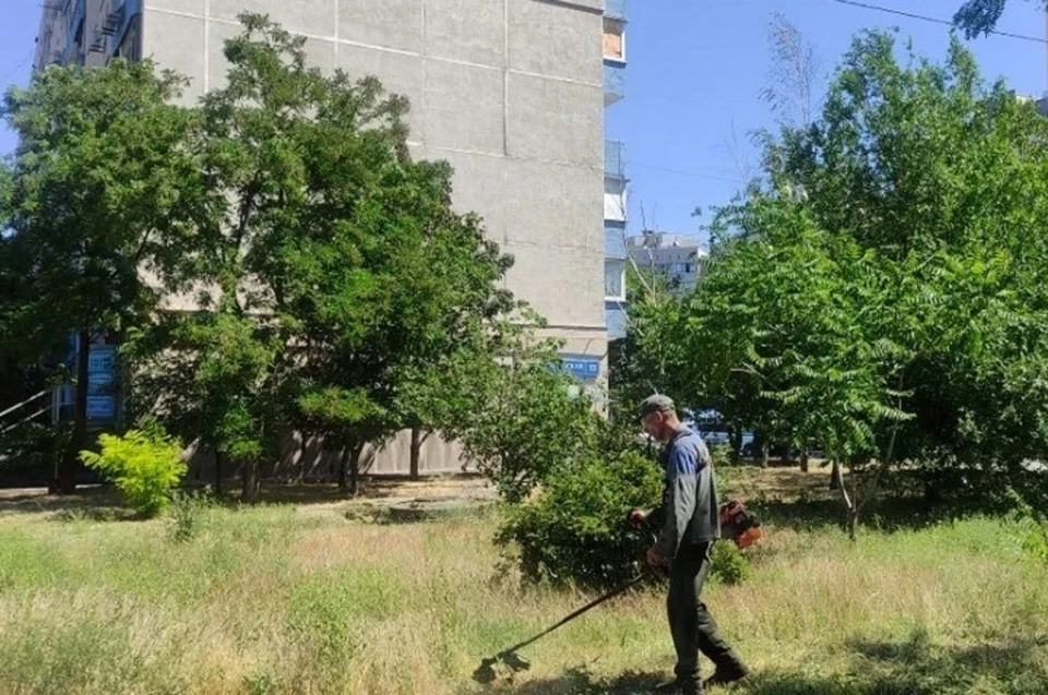 Комплекс работ включал в себя расчистку дворов от мусора, покос травы и уборку подъездов. Фото: МАХ/Кольцов