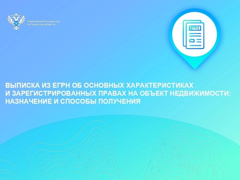 Документ содержит кадастровую стоимость, план-схему объекта недвижимости и сведения о зарегистрированных правах. Фото: Росреестр Тверской области.