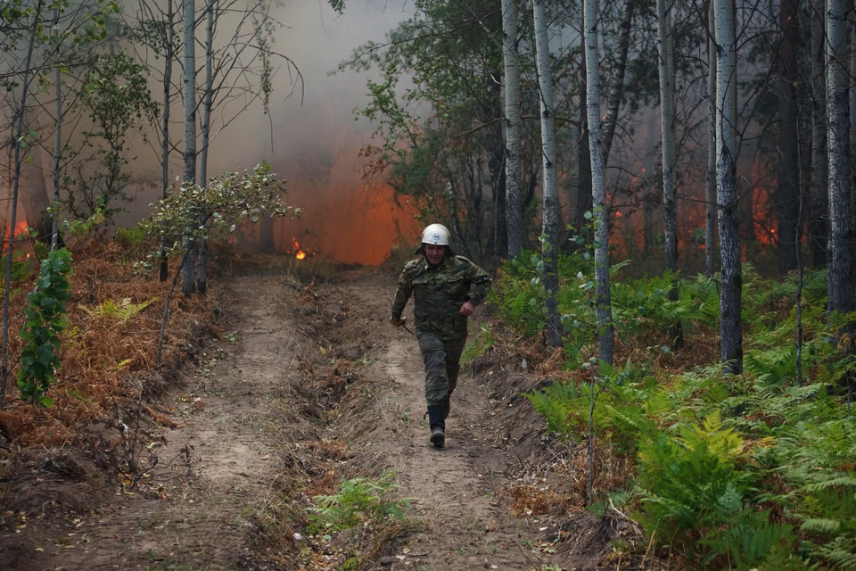 Режим ЧС в лесах в Томской области действует с 13 июня