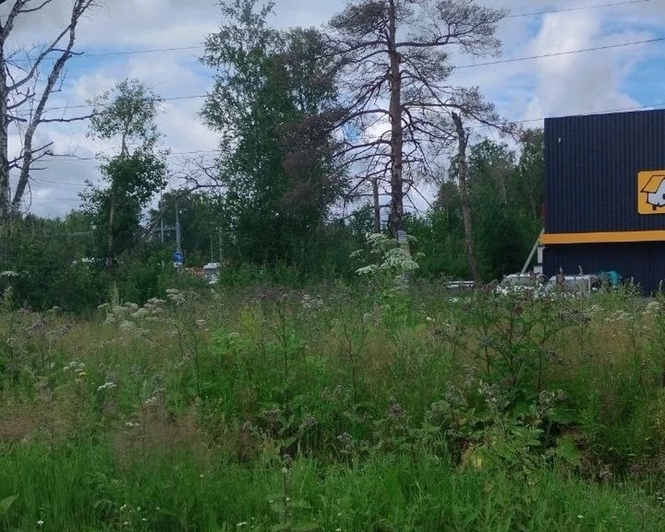 Фото: ЧС Тюмень, ВК.