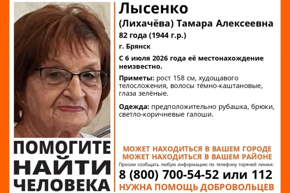 Фото: поисковый отряд "Лиза Алерт", ВКонтакте.