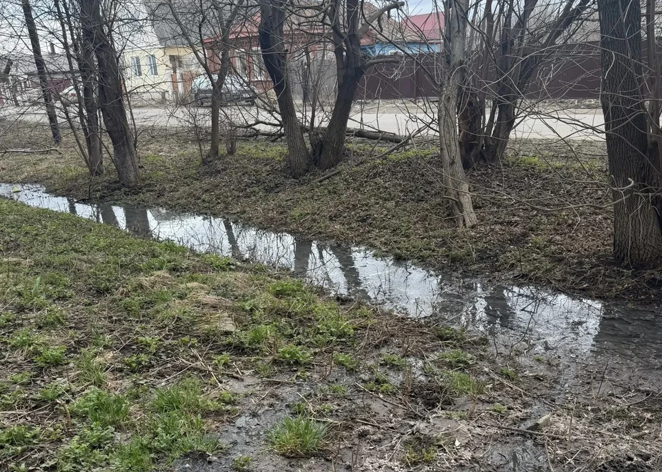 Фото прокуратуры города Мичуринска
