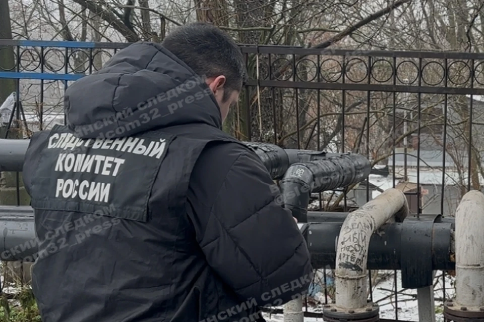 Фото: пресс-служба СУ СКР по Брянской области.