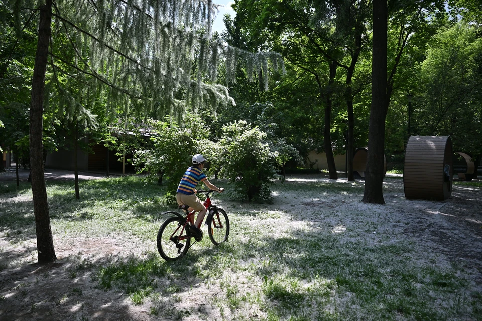В Иркутском районе 11-летний велосипедист пострадал в ДТП с иномаркой