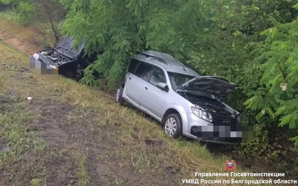 Фото: пресс-служба Госавтоинспекции по Белгородской области