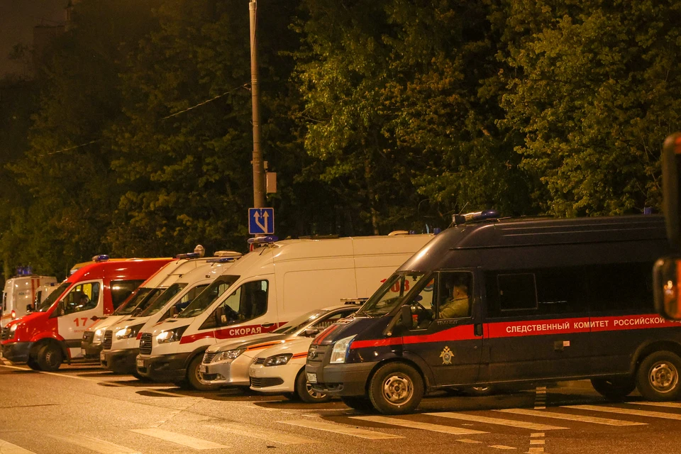 Ребенка насмерть придавило деревом в Тверской области Фото: Shatokhina Natalia/news.ru/Global Look Press