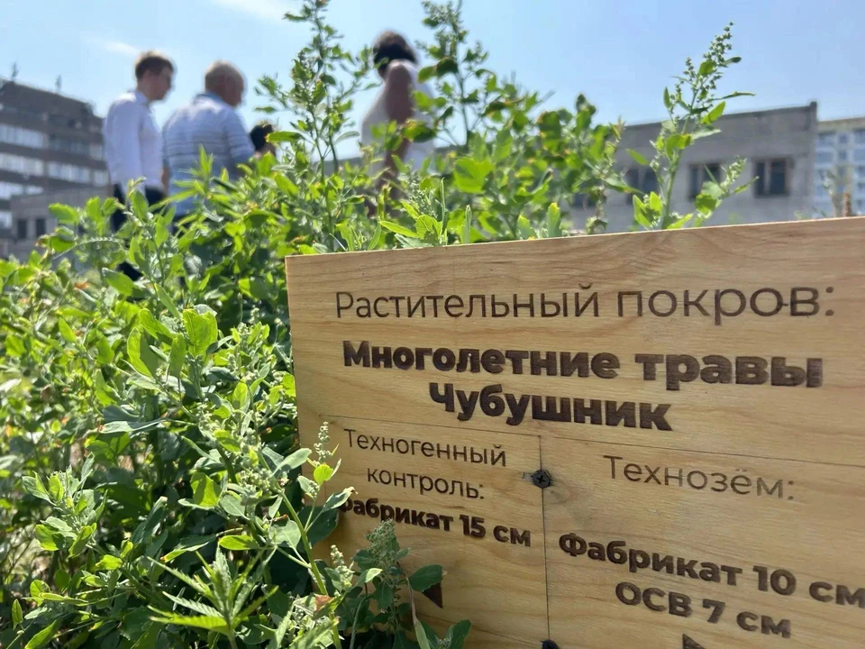 Фото: Екатерина Попова.