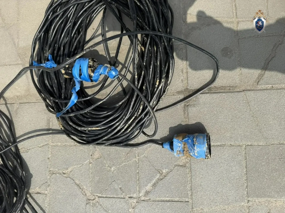 Фото: СУ СК по Челябинской области