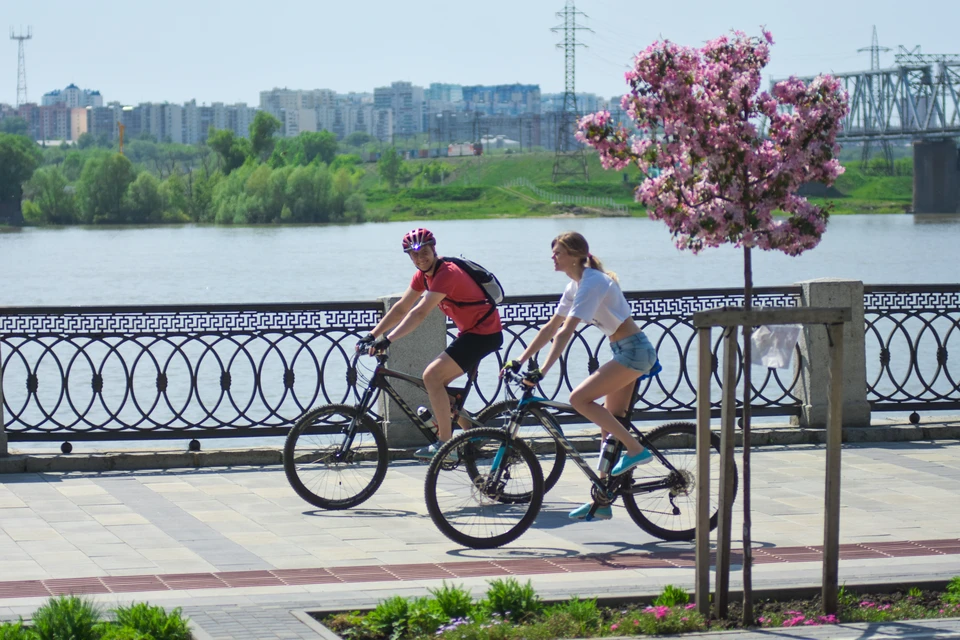 Скорость ветра в Новосибирске составит 2-7 метров в секунду.