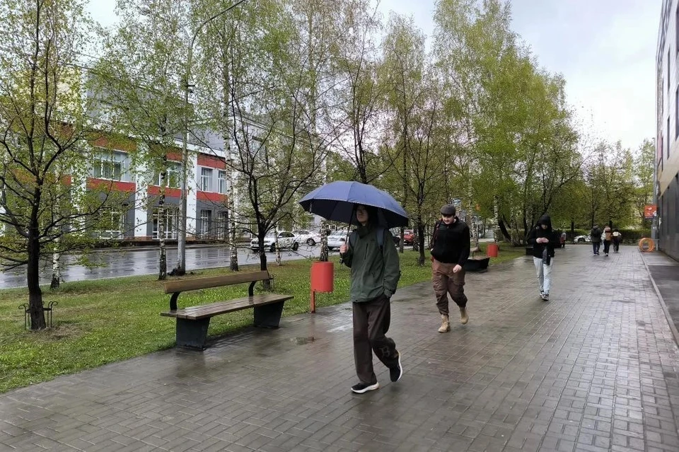 Осадки разной степени интенсивности ожидаются в регионе в пятницу и субботу