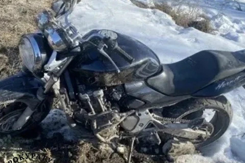 Фото: пресс-служба прокуратуры Брянской области.