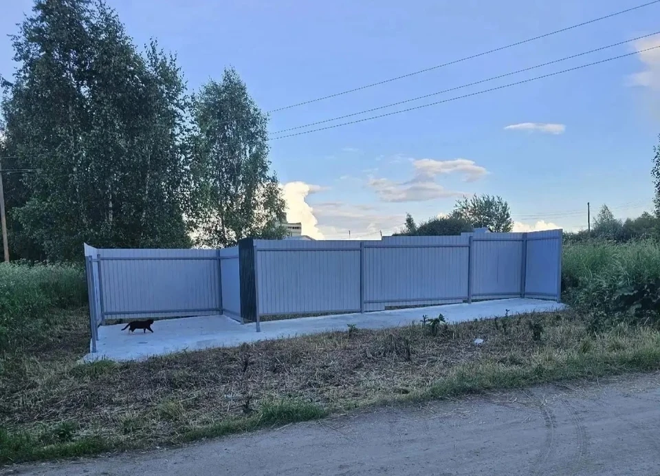Фото: Прокуратура Владимирской области