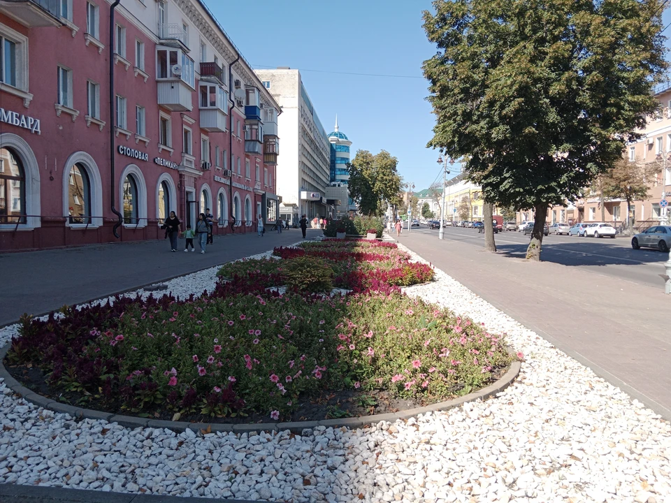 В Курской области стоит теплая погода