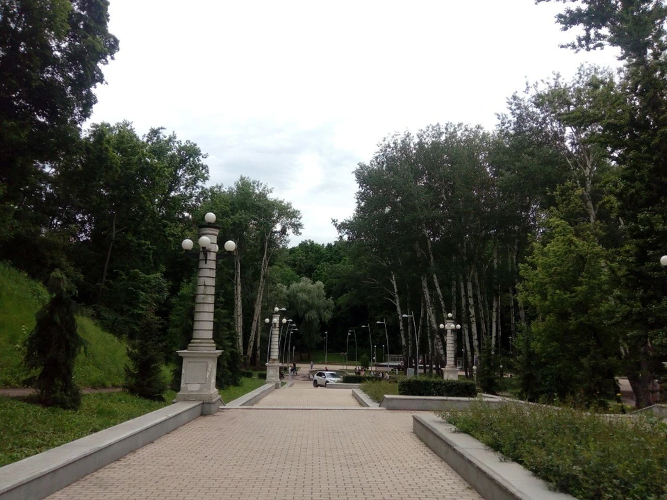 Фото Елены Федяшевой
