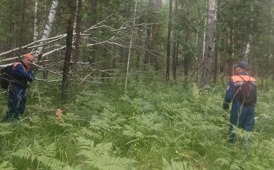 Пожилой грибник ушел в лес с районе села Еловое. Фото: КГКУ "Спасатель"