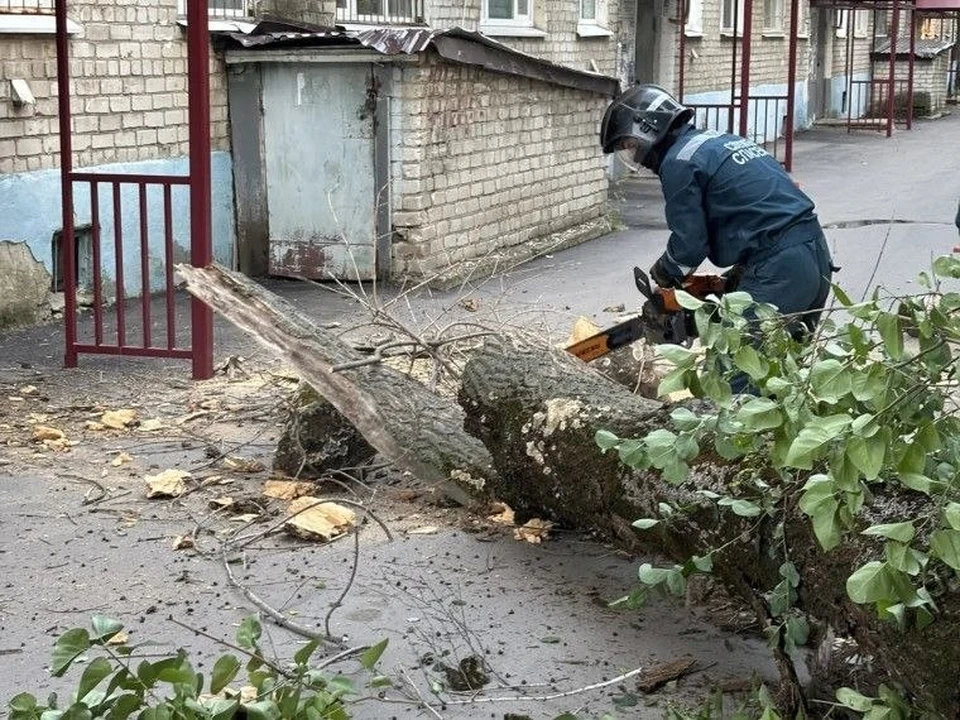 В Ульяновске после шторма убирают деревья и ветки по 46 адресам | ФОТО: администрация Ульяновска