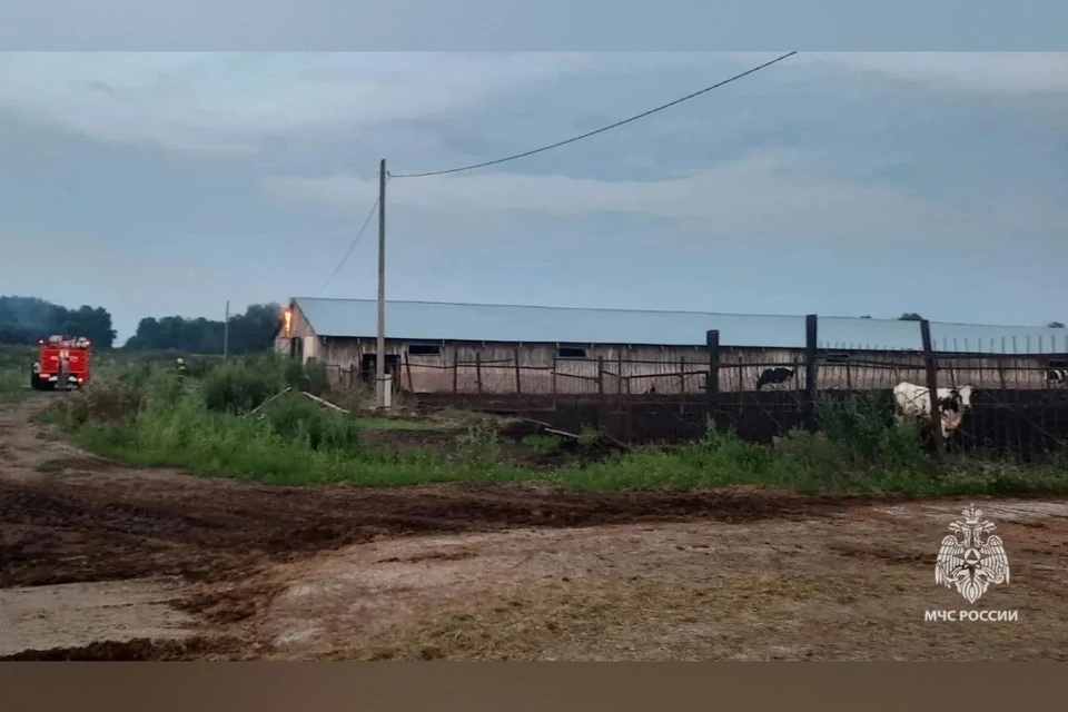 Обошлось без жертв. Фото: ГУ МЧС России по Томской области