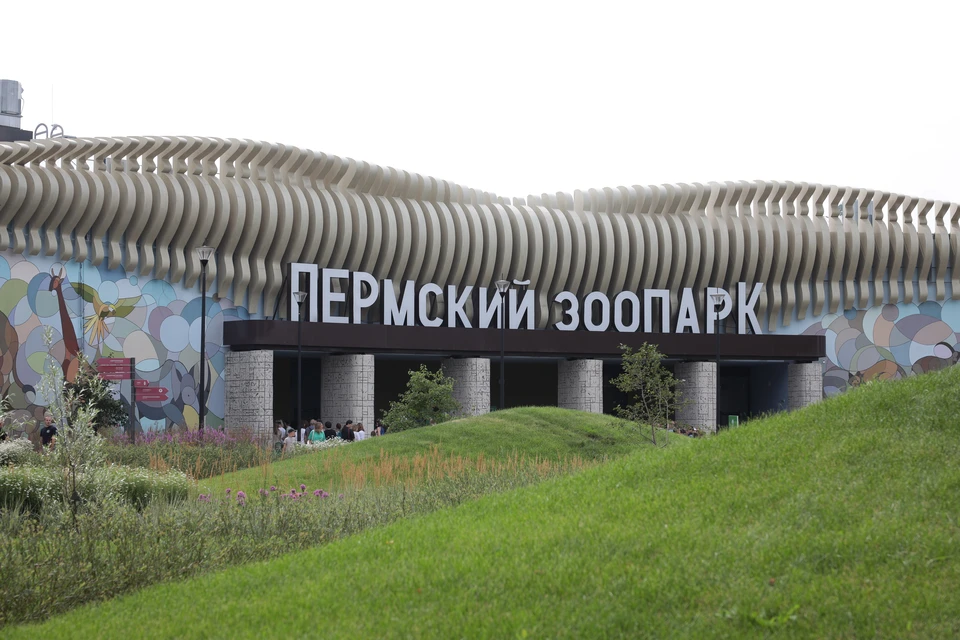 В Пермском зоопарке не стало бурого медведя Тоши