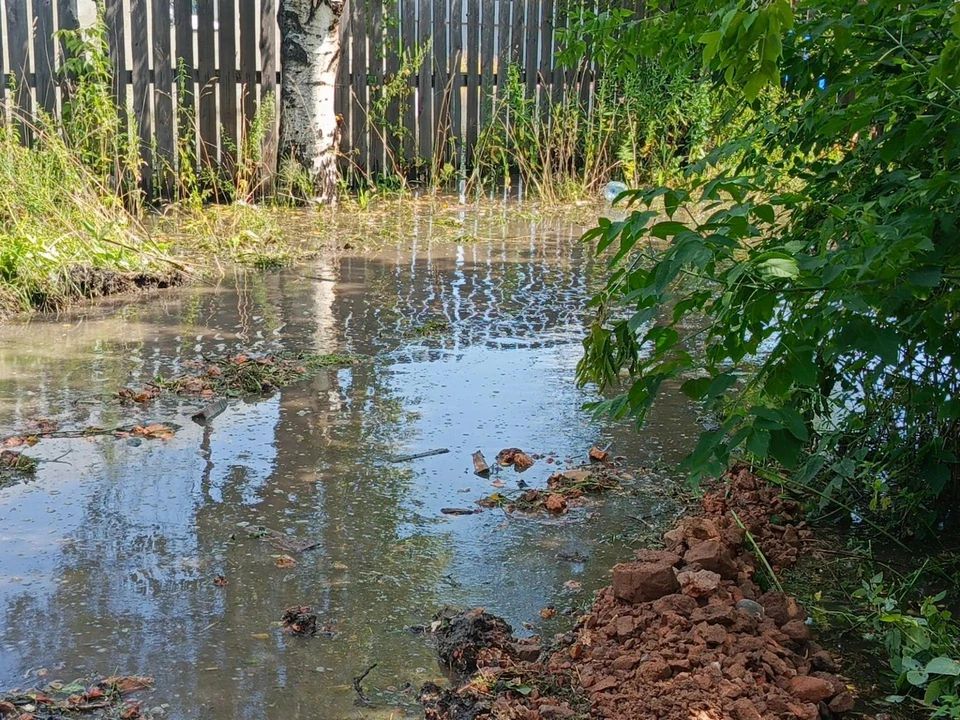 Фото: соцсети Дениса Ильина.
