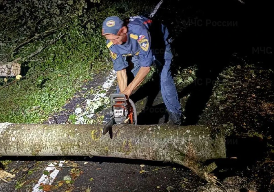 Фото: ГУ МЧС России по Владимирской области