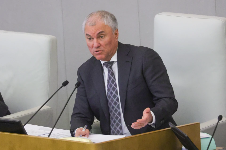 Володин сообщил о росте числа оснований для отмены гражданства РФ у мигрантов. Фото: Shatokhina Natalia/GLOBAL LOOK PRESS