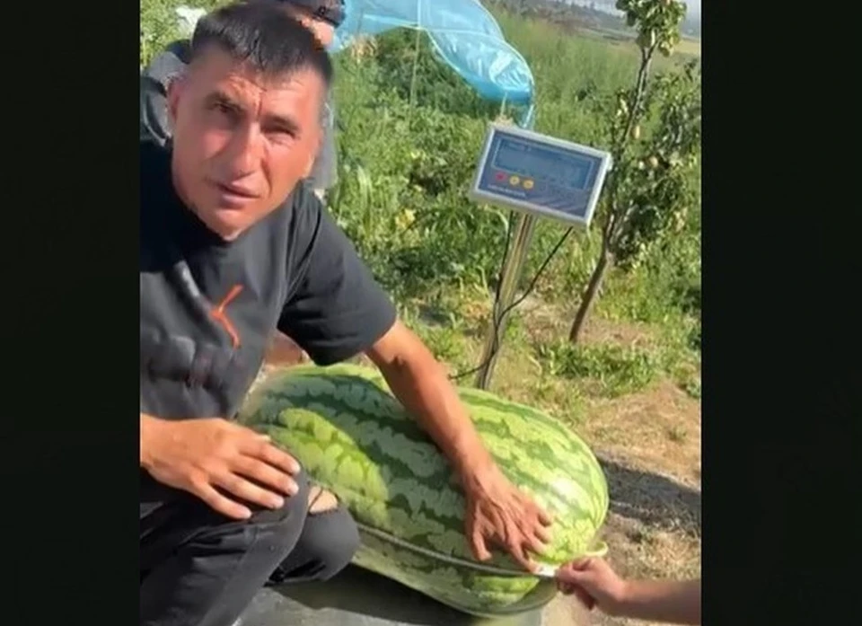 Серджиу Сурски удалось установить новый рекорд. Фото: скрин с видео