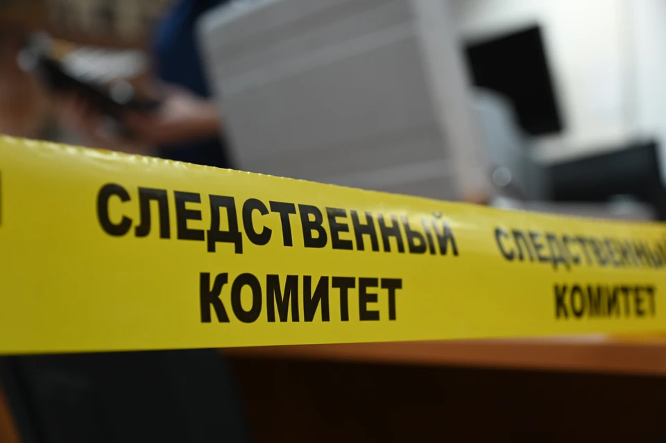 Ульяновцы рассказали главе регионального Следкома о незаконных мигрантах