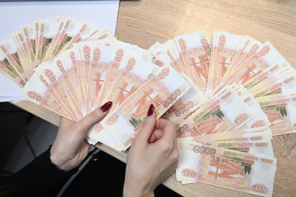 В Госдуме напомнили о выплате россиянам: кто и сколько может получить